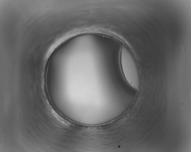 X0000077331512200610200901