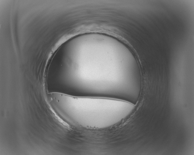 X0000077331525200610200901