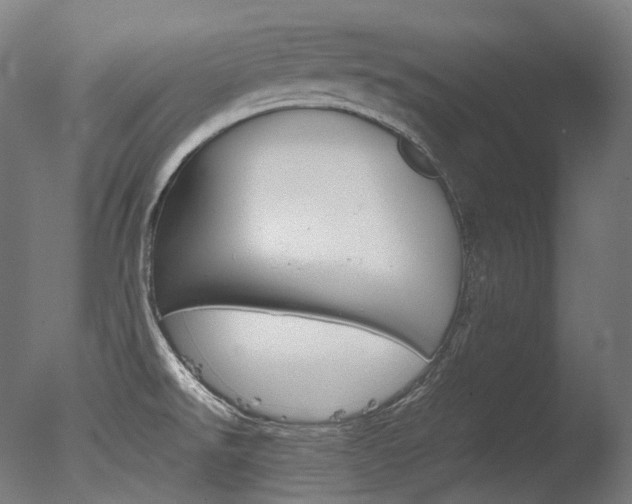 X0000077331526200610200901