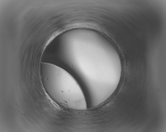 X0000077331529200610200901