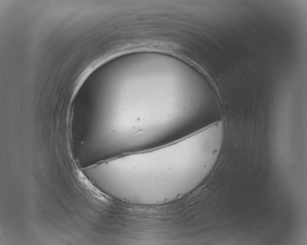 X0000077331532200610200901