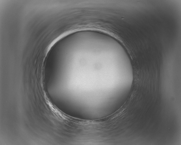 X0000077331534200610200901