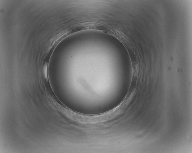 X0000077330047200610201239