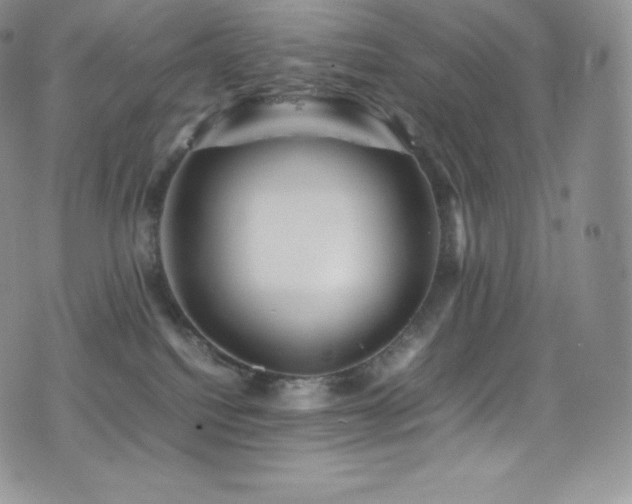 X0000077330088200610201239