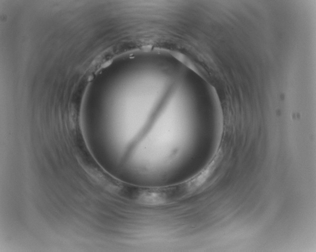 X0000077330174200610201237