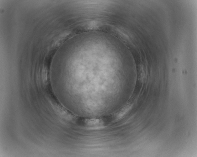 X0000077330230200610201236