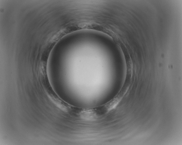 X0000077330280200610201236
