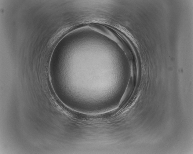 X0000077330577200610201230