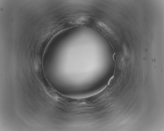 X0000077330747200610201228