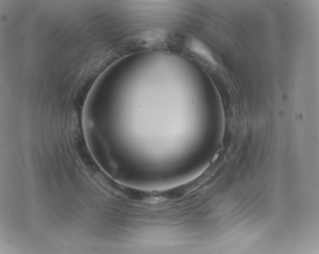 X0000077330748200610201228