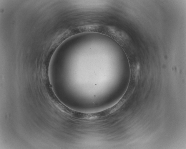X0000077330760200610201228