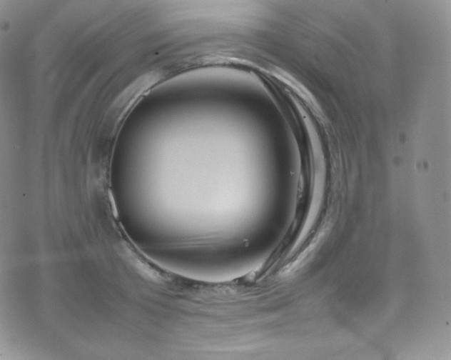 X0000077330801200610201227