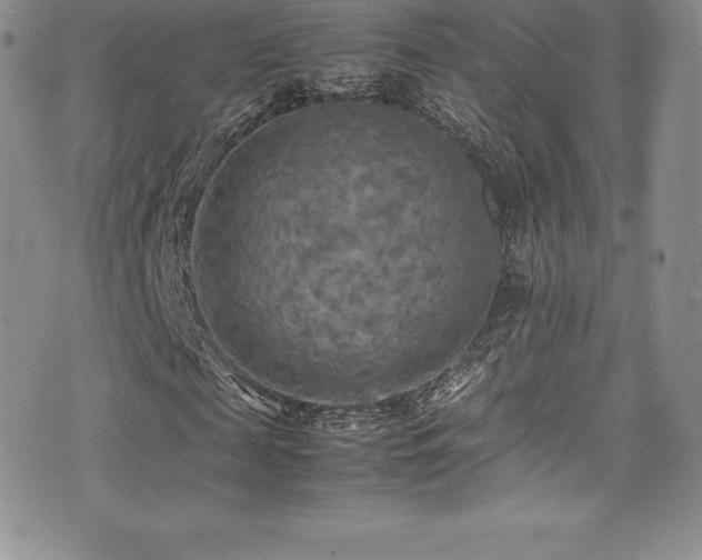 X0000077330817200610201226