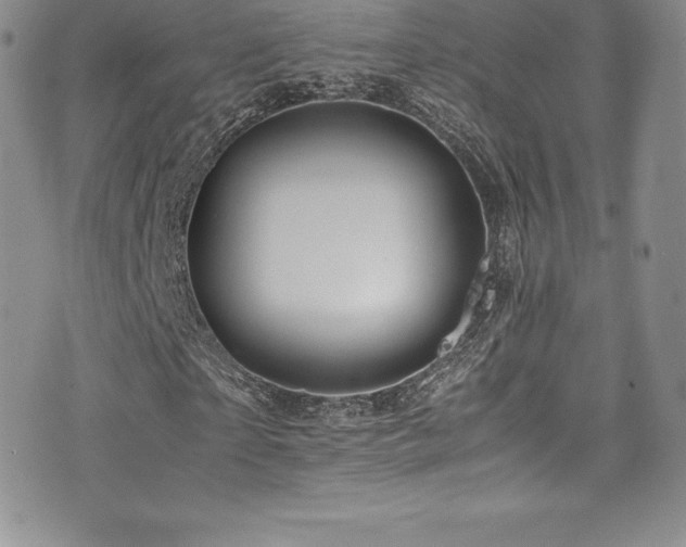 X0000077330865200610201226