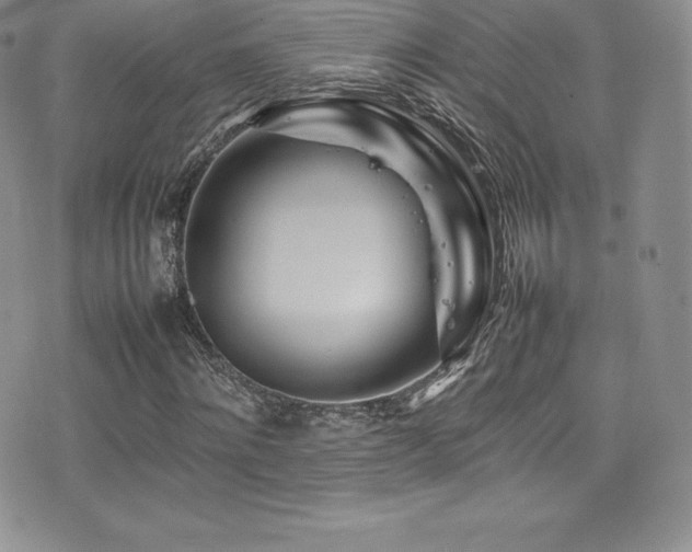 X0000077330868200610201226