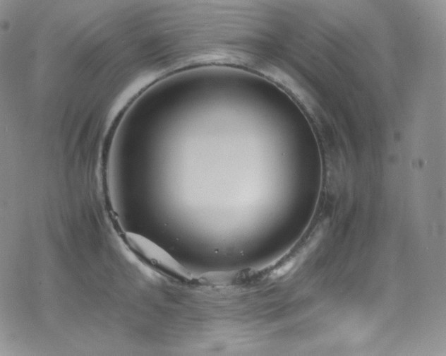 X0000077330902200610201225