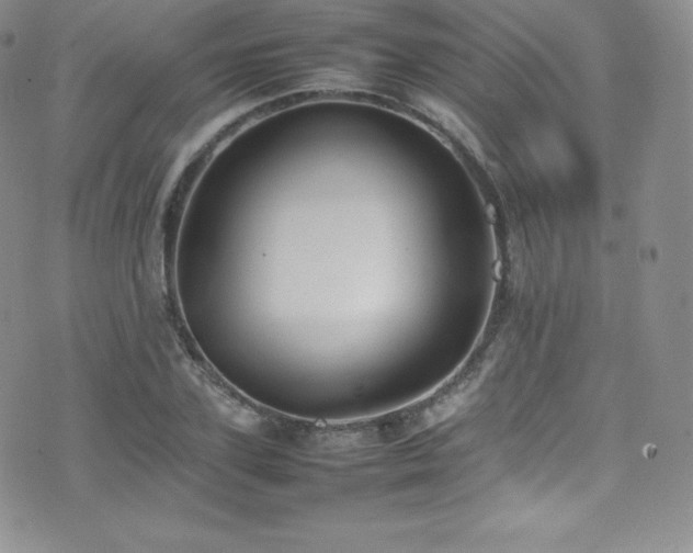 X0000077330931200610201224