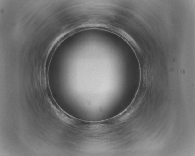 X0000077330988200610201224