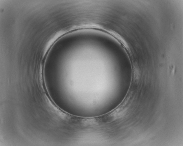 X0000077331006200610201223
