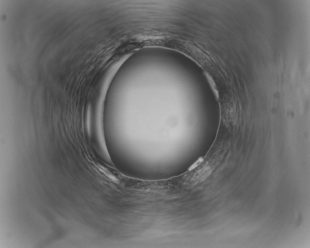 X0000077331010200610201222