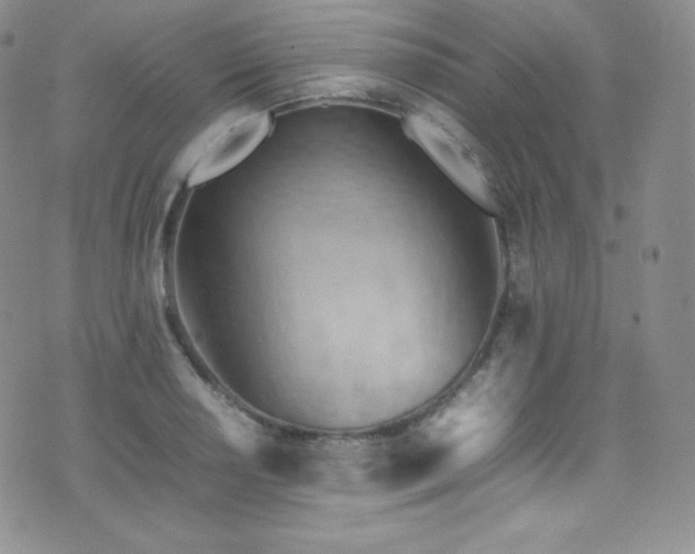X0000077331034200610201223