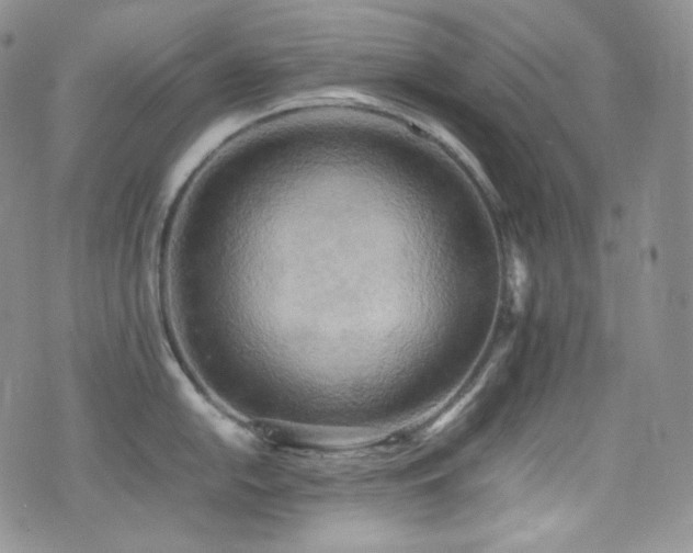 X0000077331054200610201223