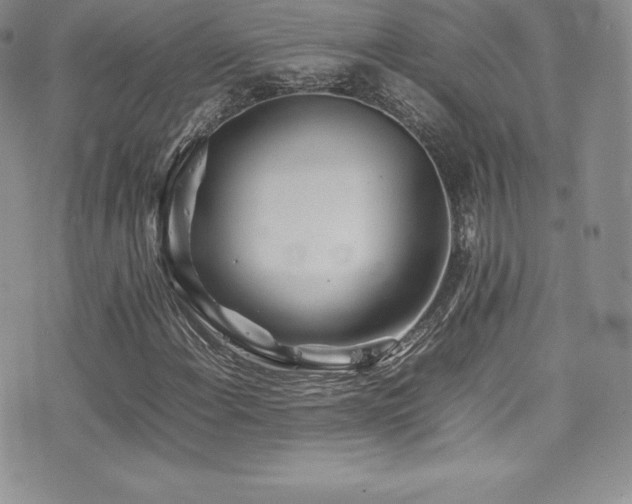 X0000077331108200610201221