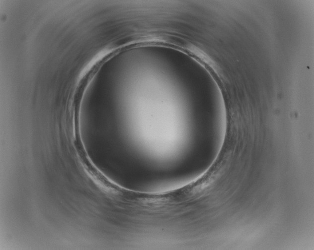 X0000077331127200610201221