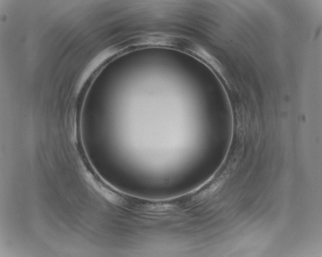 X0000077331131200610201221