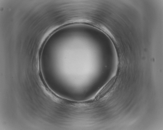 X0000077331132200610201221