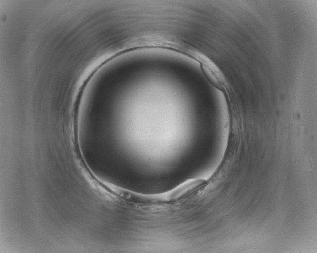 X0000077331144200610201222