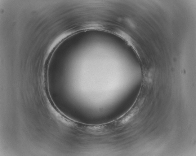 X0000077331147200610201222