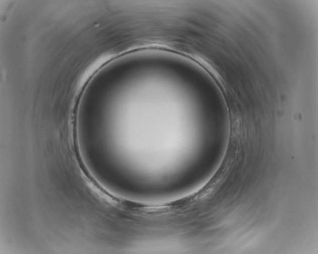 X0000077331151200610201222
