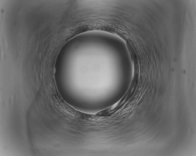 X0000077331153200610201221