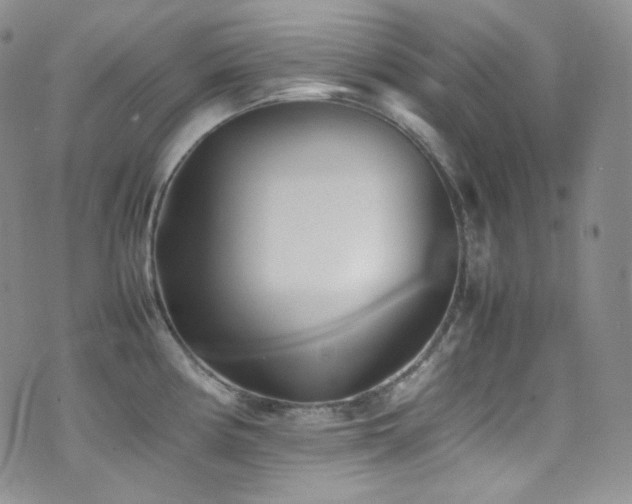 X0000077331194200610201220