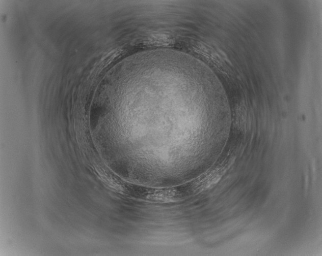X0000077331201200610201219