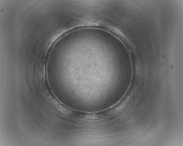 X0000077331220200610201220