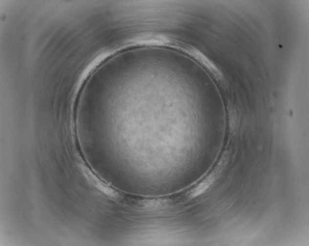 X0000077331240200610201220