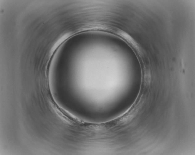 X0000077331242200610201220