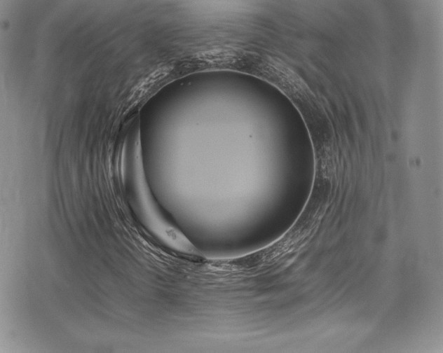 X0000077331298200610201218
