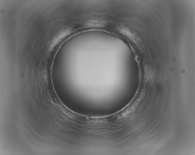 X0000077331307200610201218