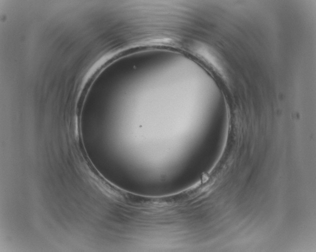X0000077331324200610201218