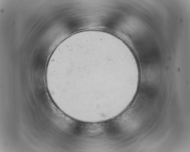 X0000077331338200610201218