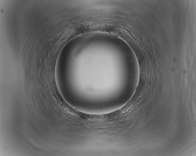 X0000077331345200610201218