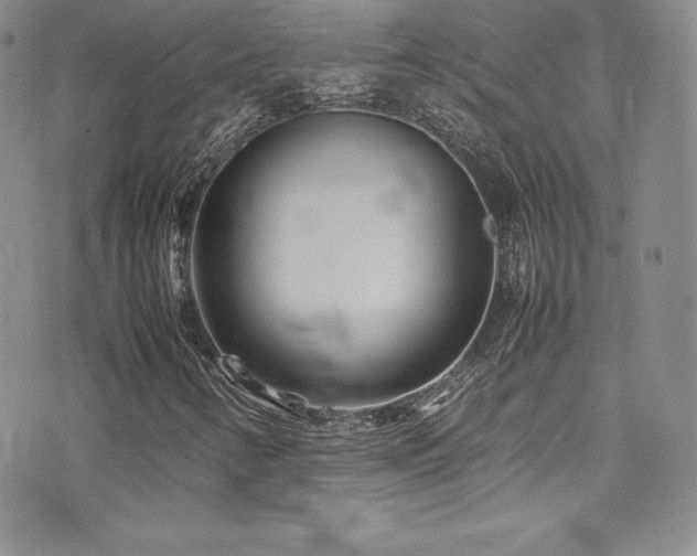 X0000077331346200610201218