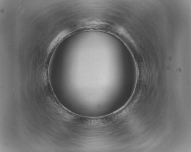 X0000077331362200610201217