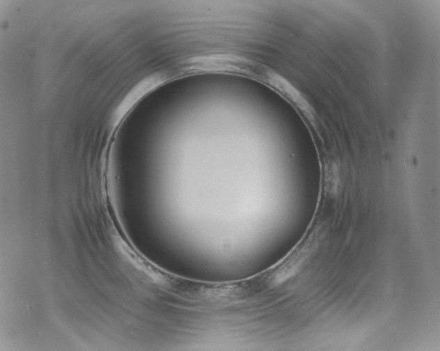 X0000077331386200610201217