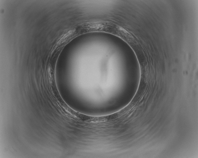 X0000077331394200610201216