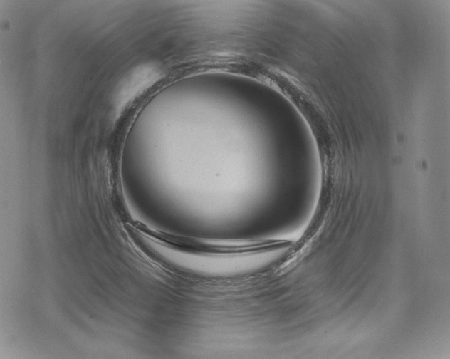 X0000077331402200610201216
