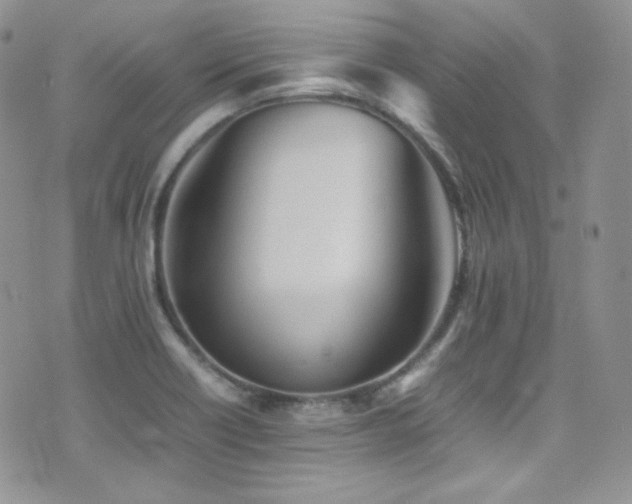 X0000077331418200610201216